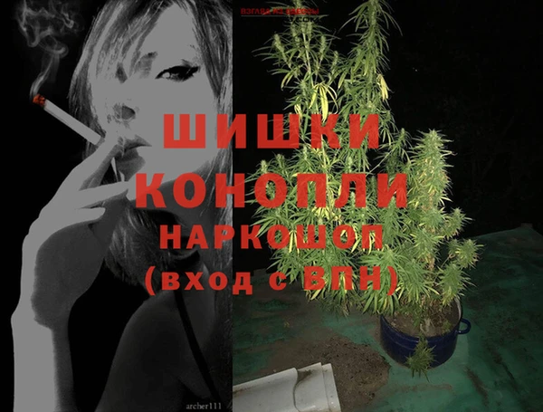 spice Новодвинск