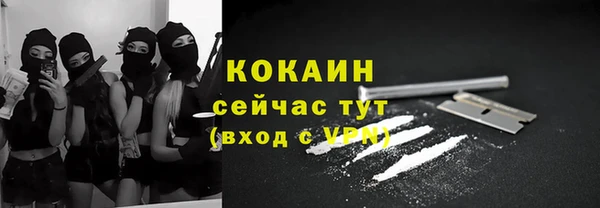 spice Новодвинск