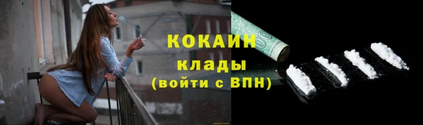 spice Новодвинск