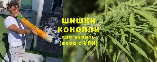spice Новодвинск