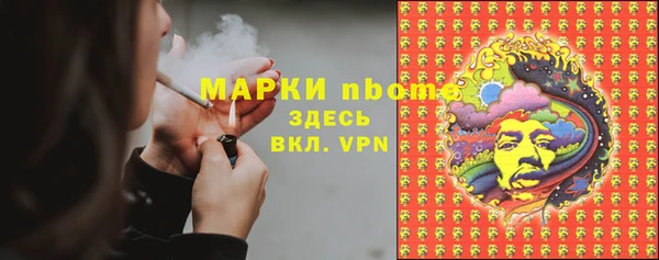 скорость Новозыбков
