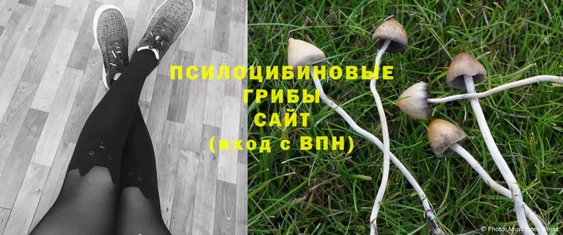 Галлюциногенные грибы MAGIC MUSHROOMS Комсомольск